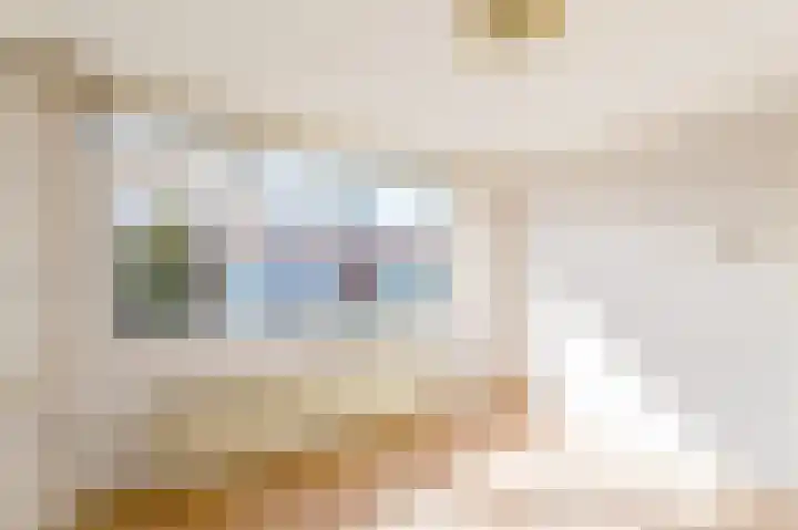 Bijenschans 11 Bussum thumbnail 13