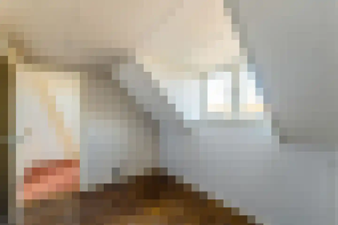 Bijenschans 11 Bussum thumbnail 19