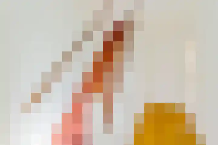 Bijenschans 11 Bussum thumbnail 8