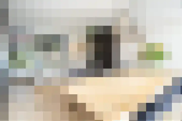 Bijenschans 24 Bussum thumbnail 10
