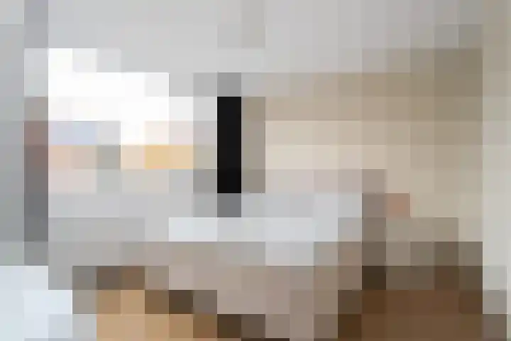 Bijenschans 24 Bussum thumbnail 15