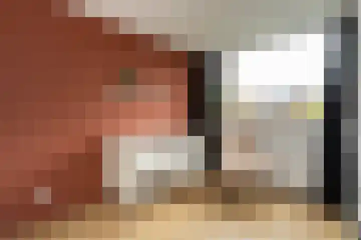 Bijenschans 24 Bussum thumbnail 16