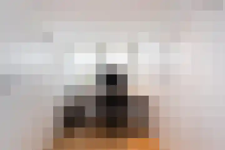 Bijenschans 24 Bussum thumbnail 22