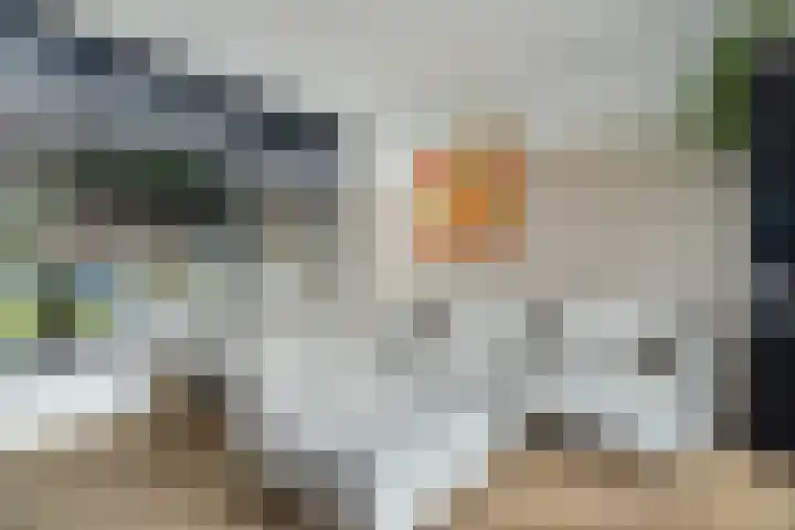 Bijenschans 24 Bussum thumbnail 5