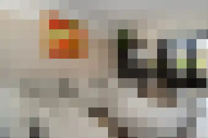 Bijenschans 24 Bussum thumbnail 6