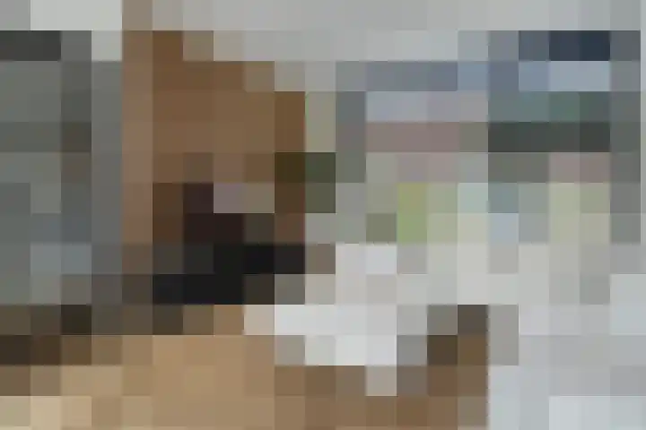 Bijenschans 24 Bussum thumbnail 8