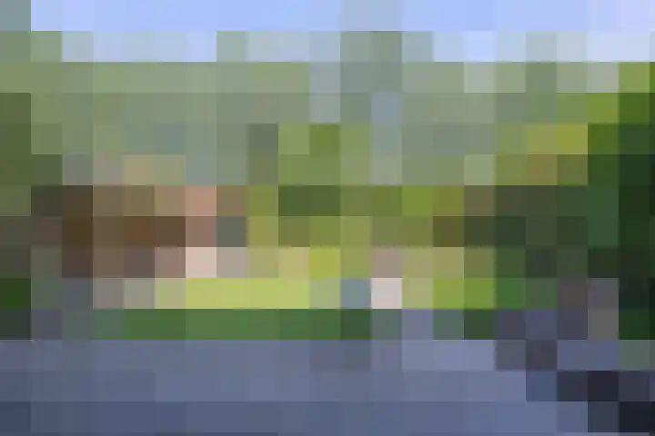 Bijenstraat 6 Culemborg thumbnail 34