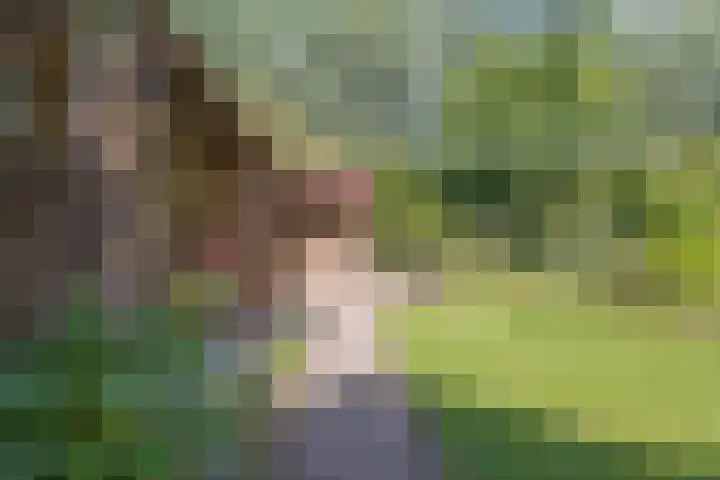 Bijenstraat 6 Culemborg thumbnail 36
