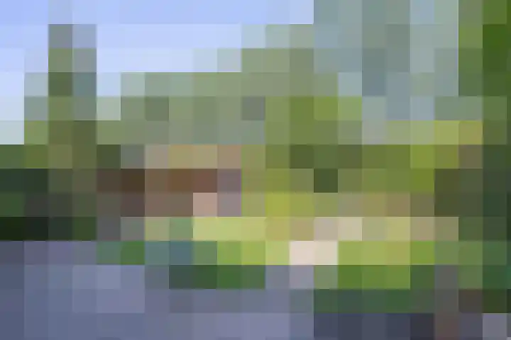 Bijenstraat 6 Culemborg thumbnail 37
