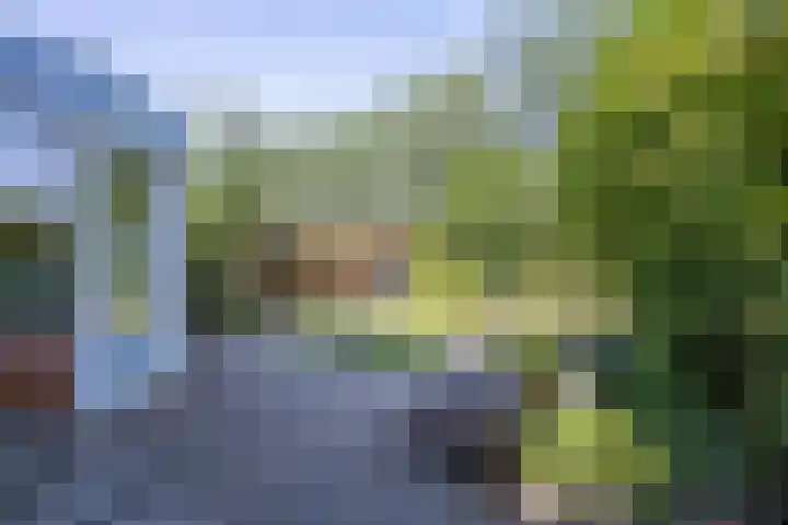 Bijenstraat 6 Culemborg thumbnail 39