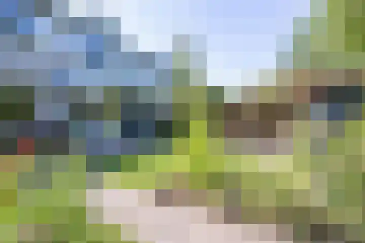 Bijenstraat 6 Culemborg thumbnail 41