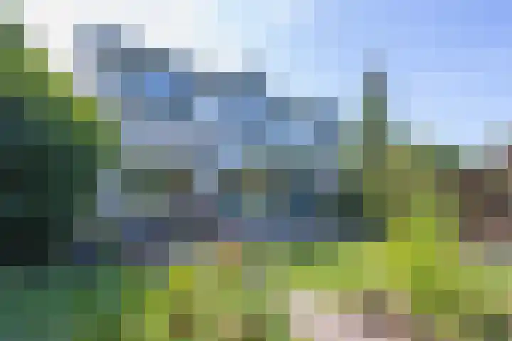 Bijenstraat 6 Culemborg thumbnail 42