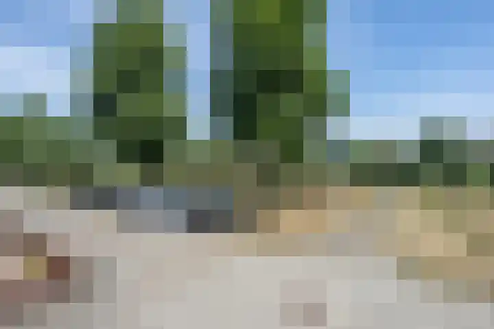 Bijenstraat 6 Culemborg thumbnail 5