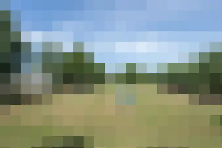 Bijenstraat 6 Culemborg thumbnail 6