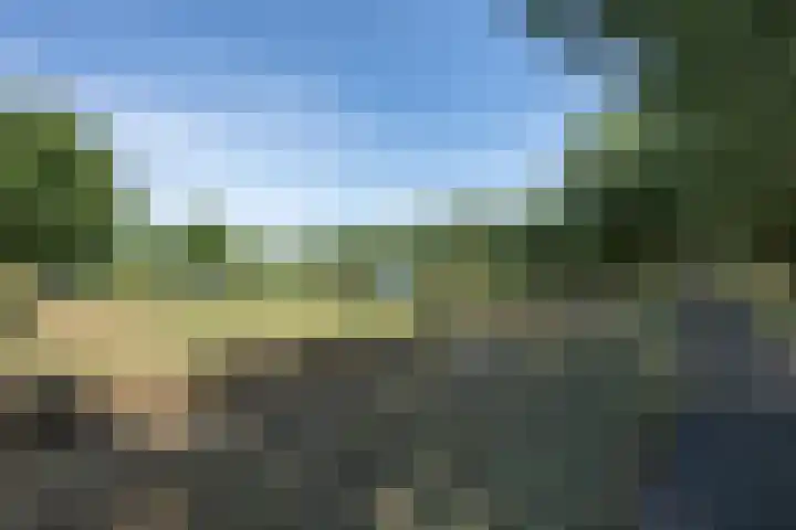 Bijenstraat 6 Culemborg thumbnail 62