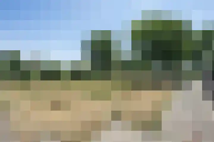 Bijenstraat 6 Culemborg thumbnail 7