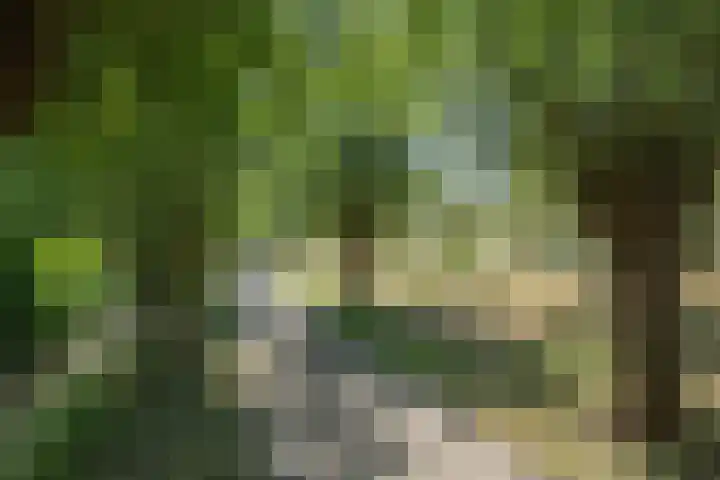 Bijenstraat 6 Culemborg thumbnail 8