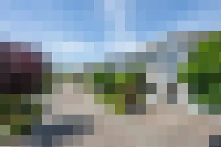 Bijenstraat 6 Culemborg thumbnail 9