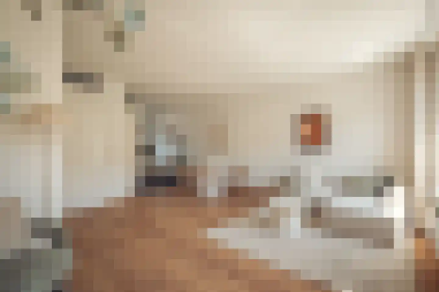 Bijentiende 28 Hoogerheide thumbnail 10