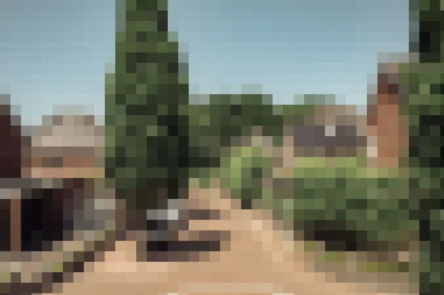 Bijentiende 28 Hoogerheide thumbnail 38
