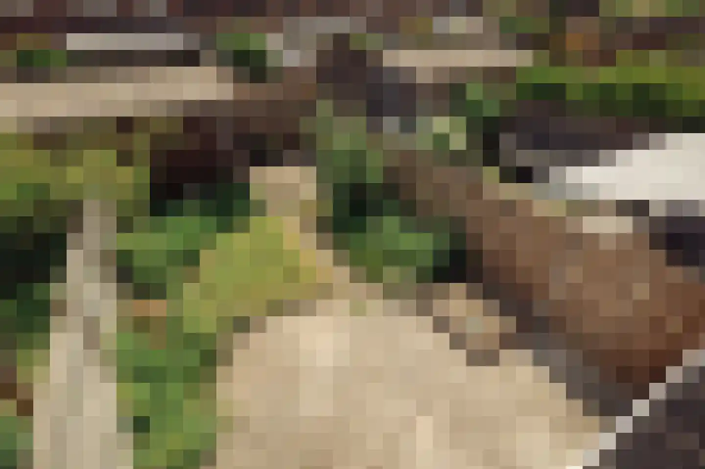Bijentiende 28 Hoogerheide thumbnail 49