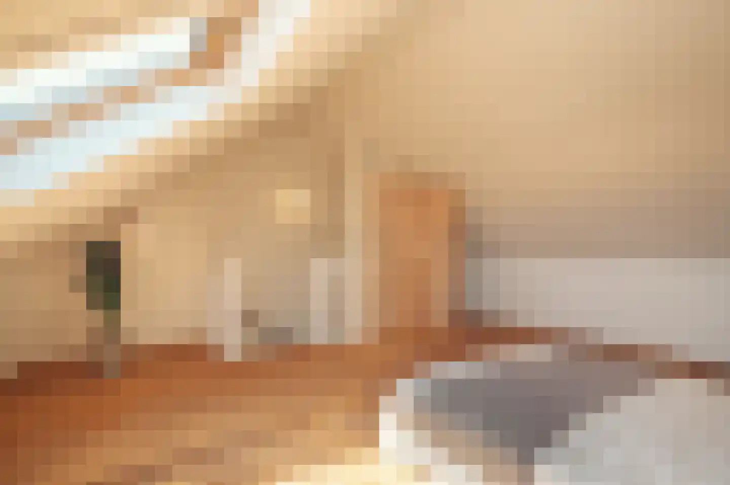 Bijentiende 28 Hoogerheide thumbnail 53