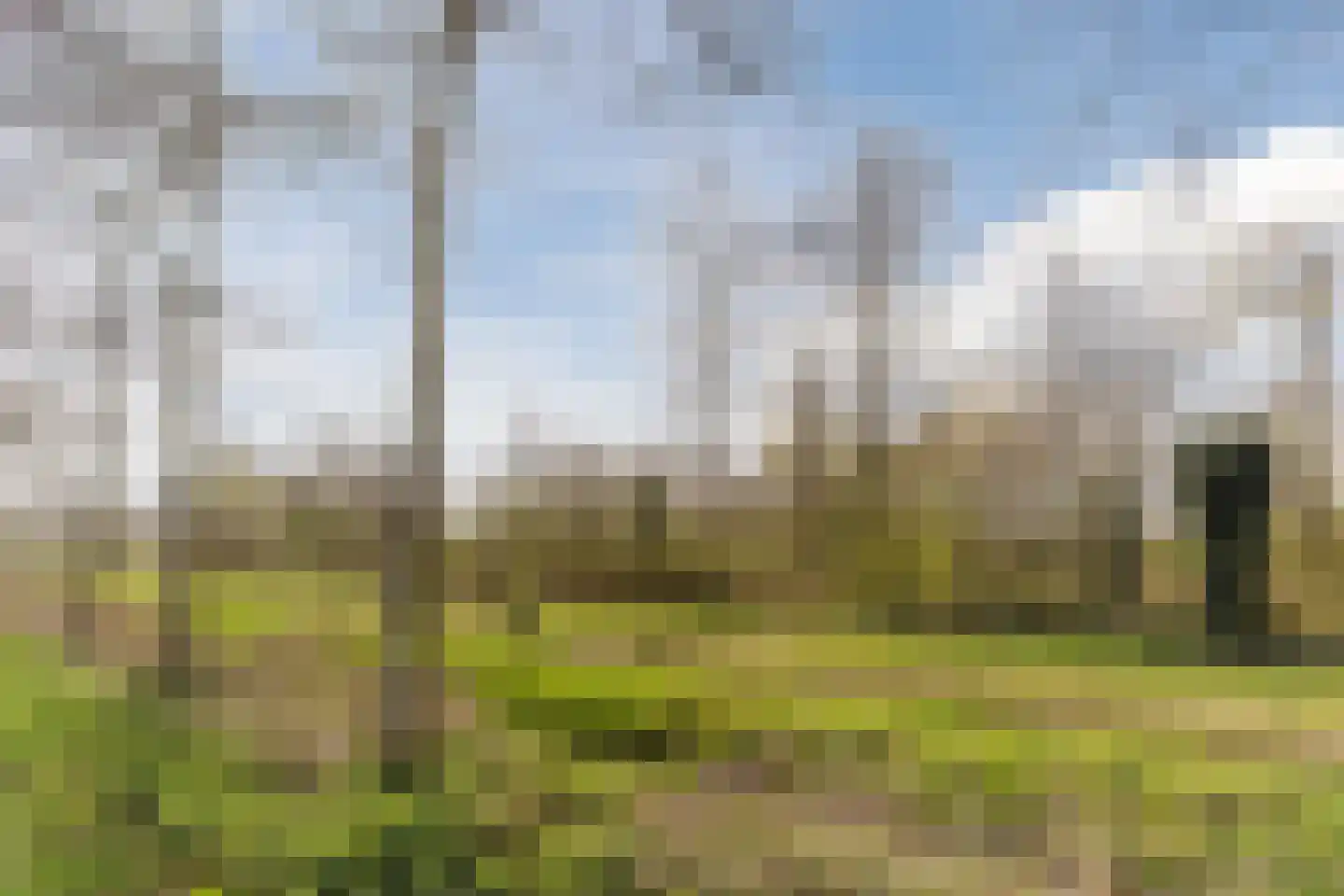 Bijenveld 14 Asten thumbnail 100