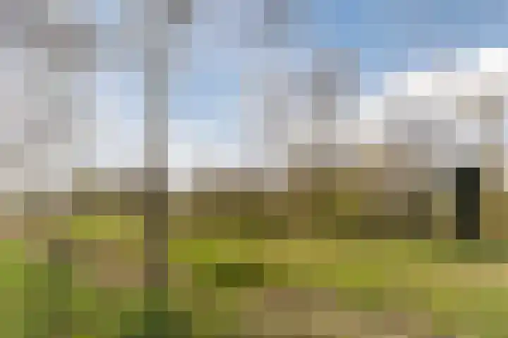 Bijenveld 14 Asten thumbnail 100