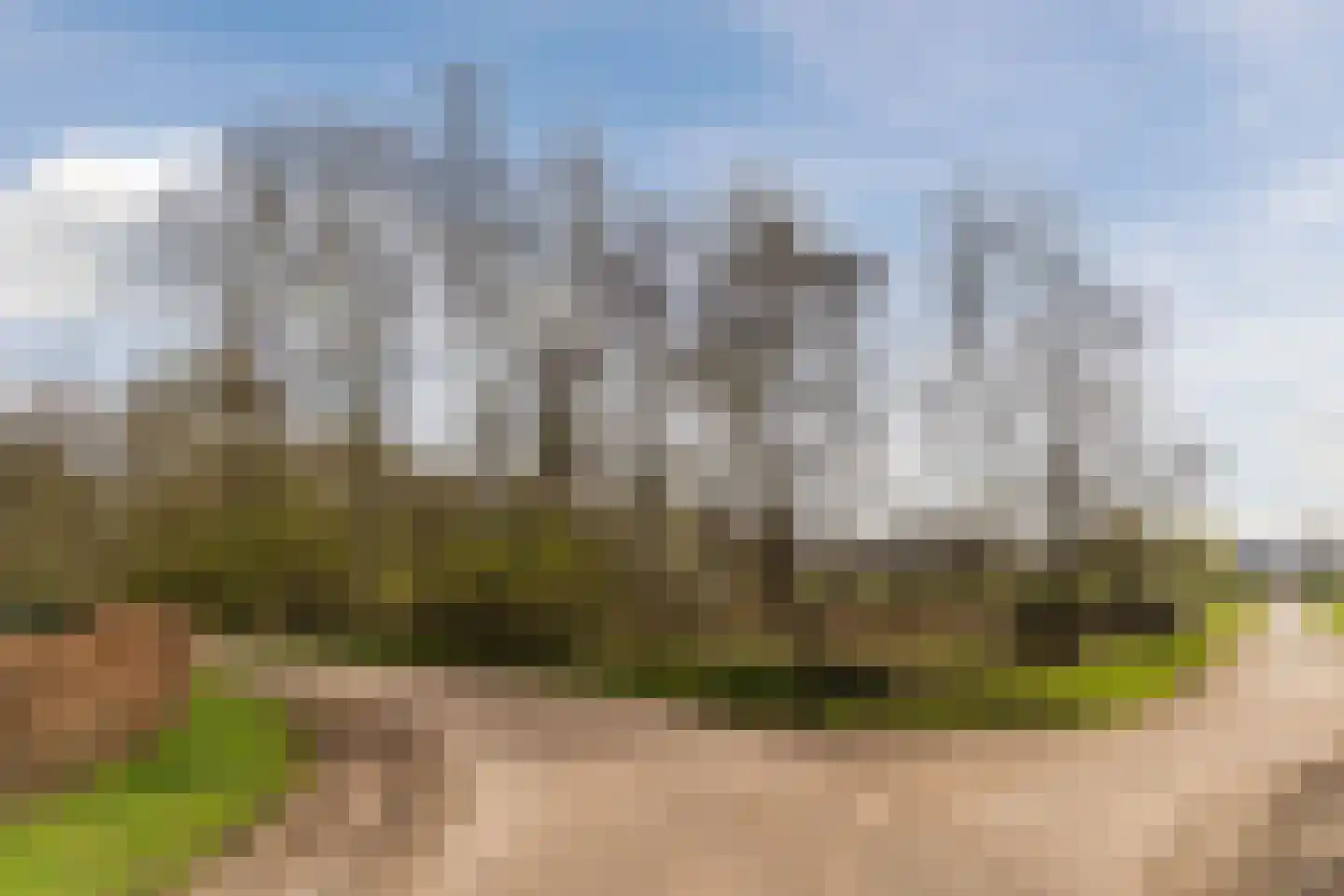 Bijenveld 14 Asten thumbnail 101