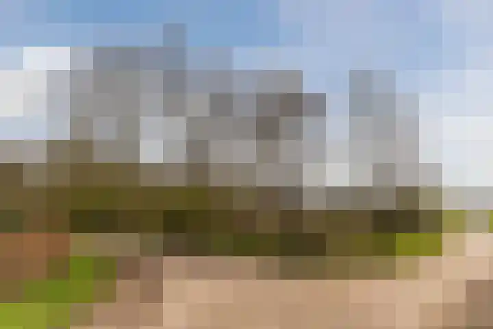 Bijenveld 14 Asten thumbnail 101