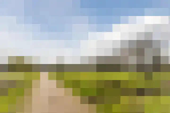 Bijenveld 14 Asten thumbnail 102