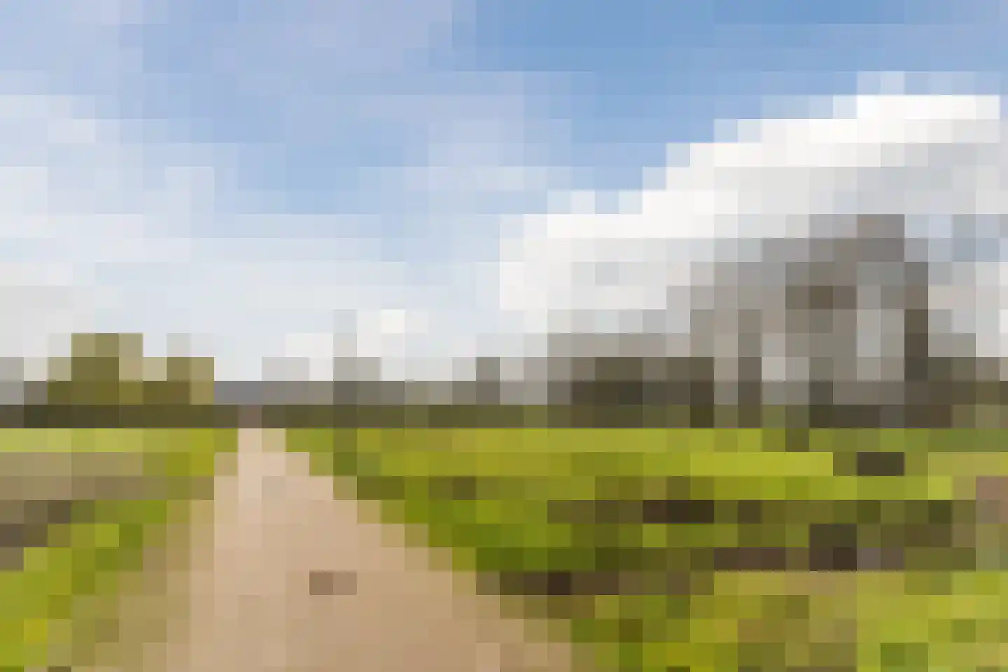 Bijenveld 14 Asten thumbnail 102