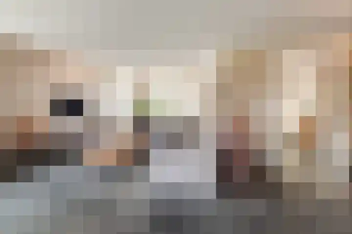 Bijenveld 14 Asten thumbnail 13