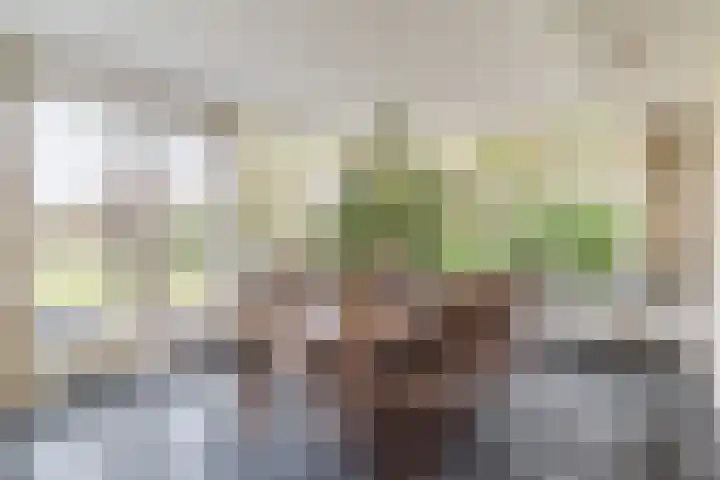 Bijenveld 14 Asten thumbnail 16
