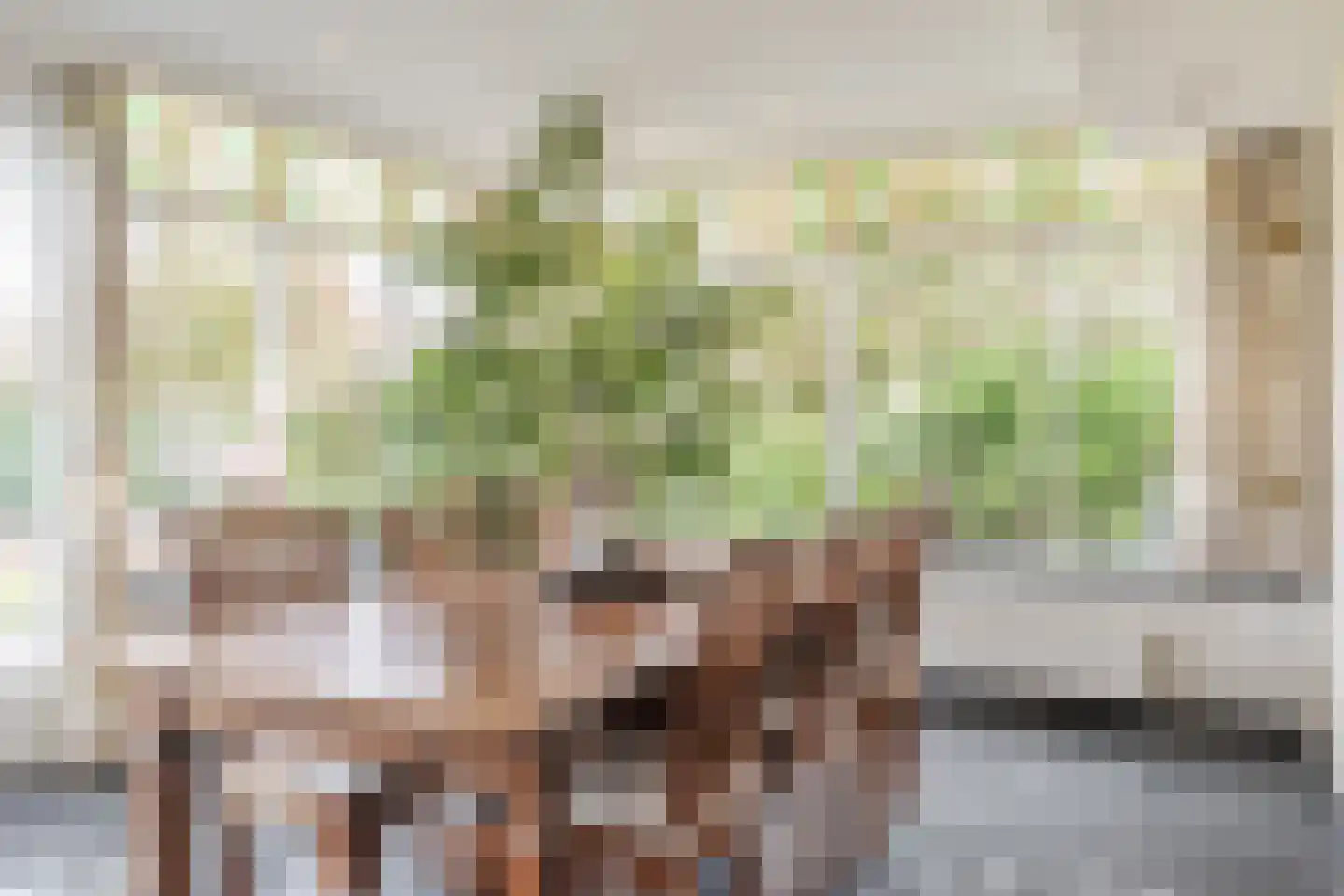 Bijenveld 14 Asten thumbnail 17