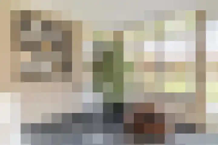 Bijenveld 14 Asten thumbnail 18