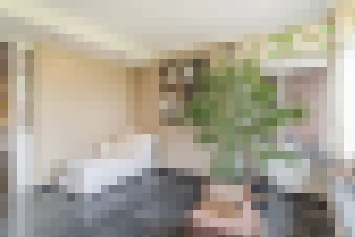 Bijenveld 14 Asten thumbnail 19