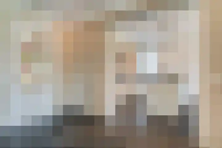 Bijenveld 14 Asten thumbnail 20