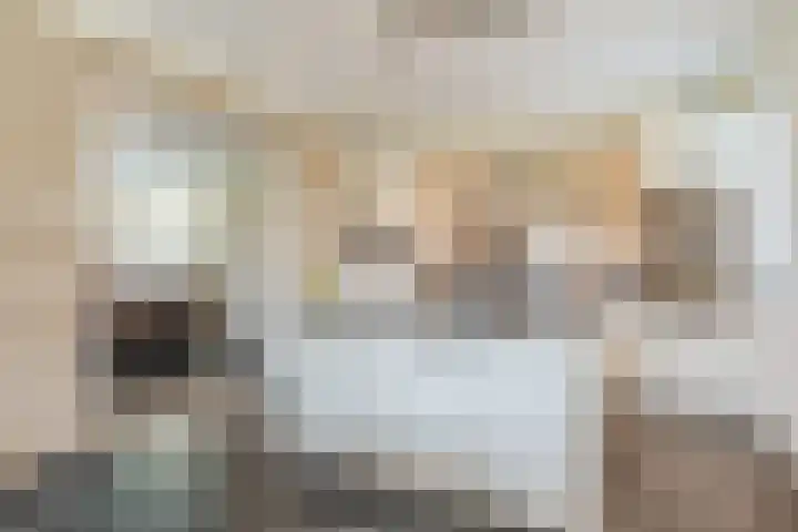 Bijenveld 14 Asten thumbnail 22