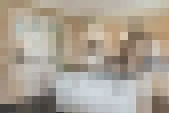 Bijenveld 14 Asten thumbnail 23