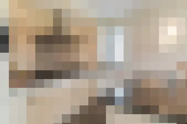 Bijenveld 14 Asten thumbnail 24