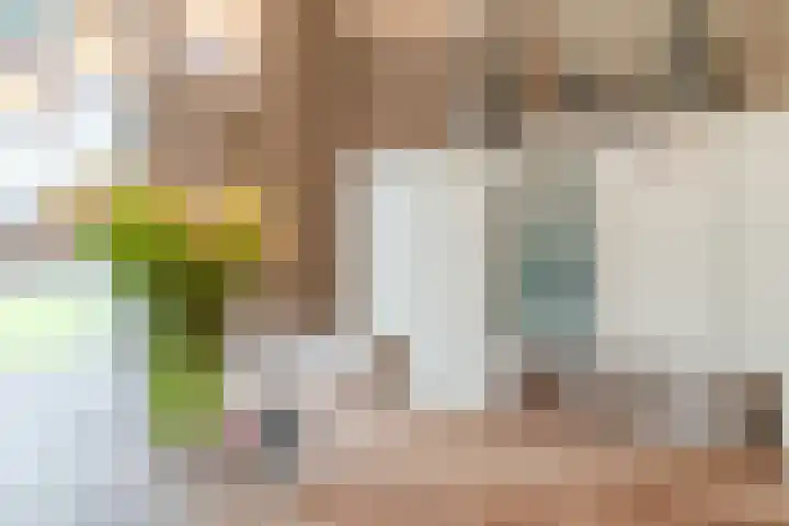 Bijenveld 14 Asten thumbnail 29