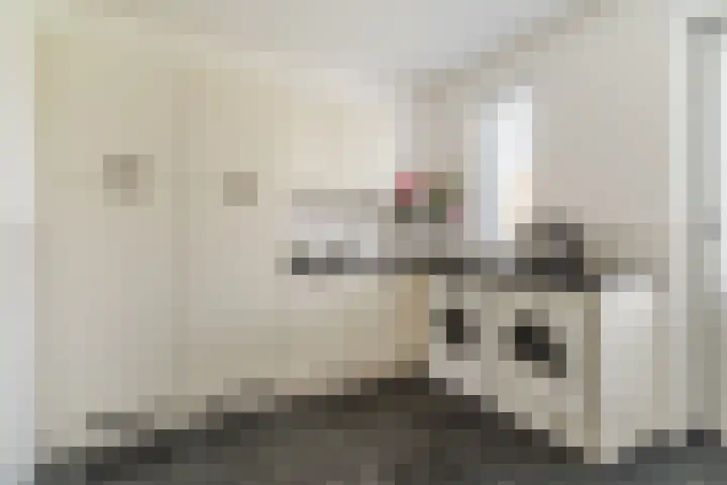 Bijenveld 14 Asten thumbnail 31