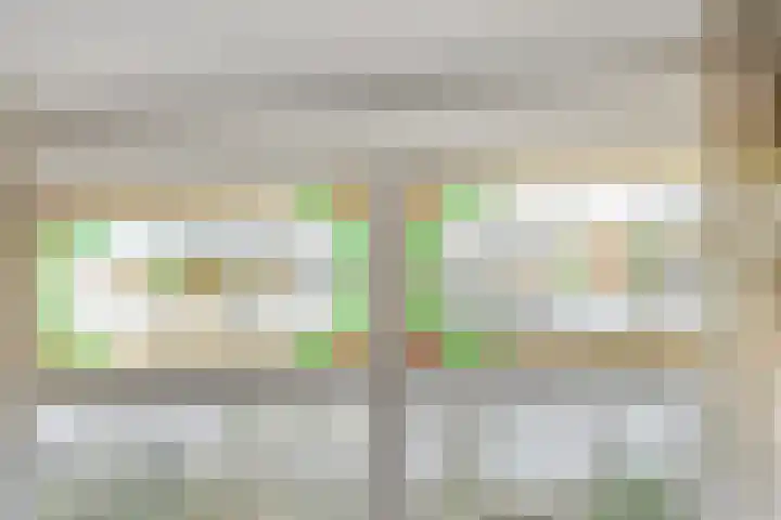Bijenveld 14 Asten thumbnail 36