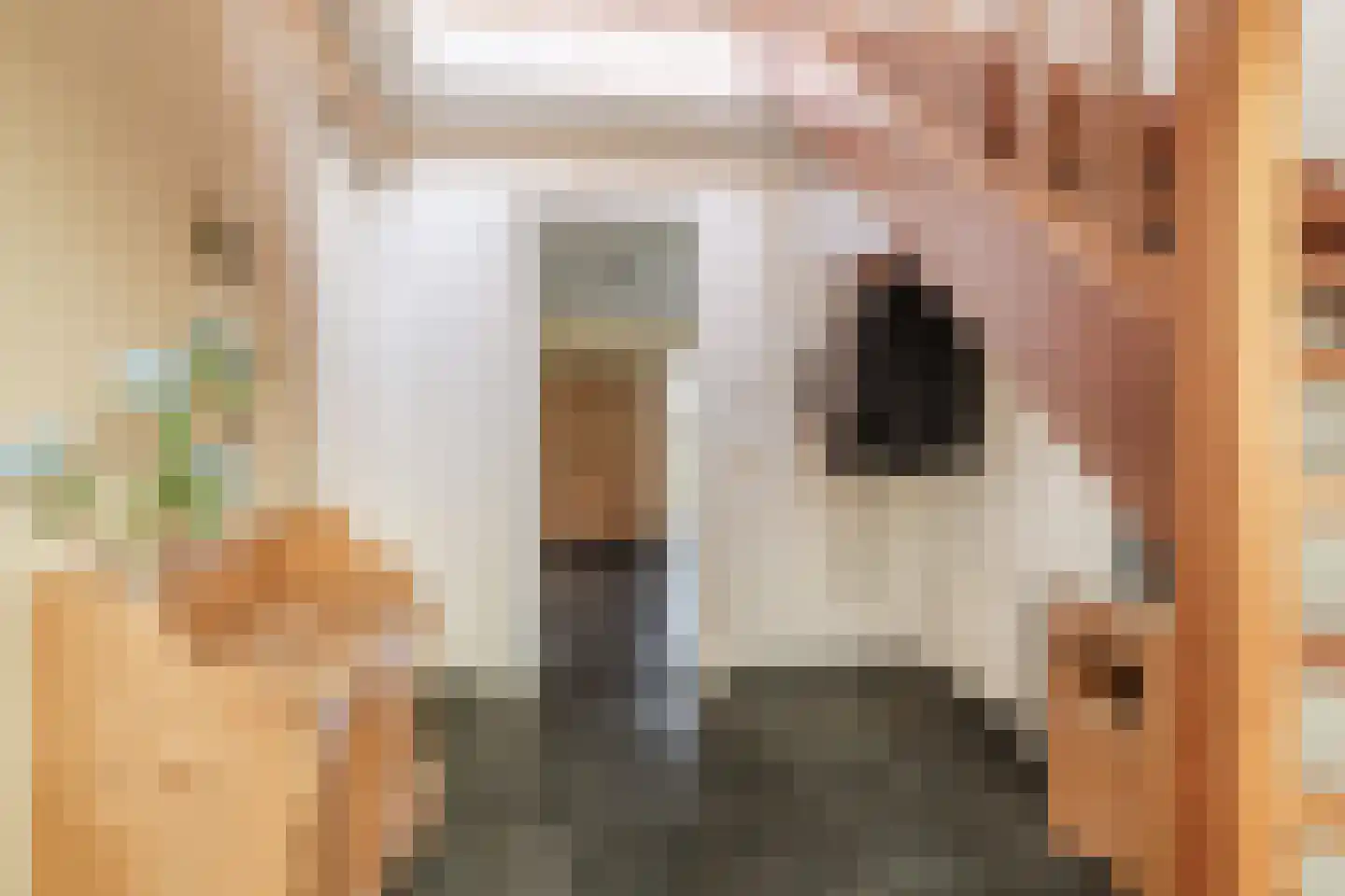 Bijenveld 14 Asten thumbnail 37
