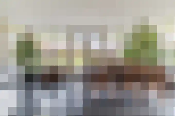 Bijenveld 14 Asten thumbnail 4