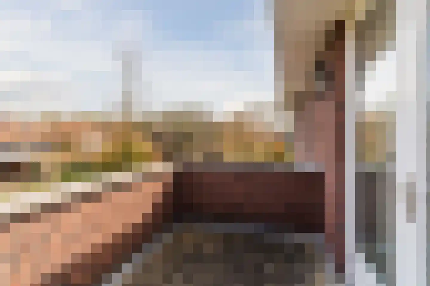 Bijenveld 14 Asten thumbnail 43