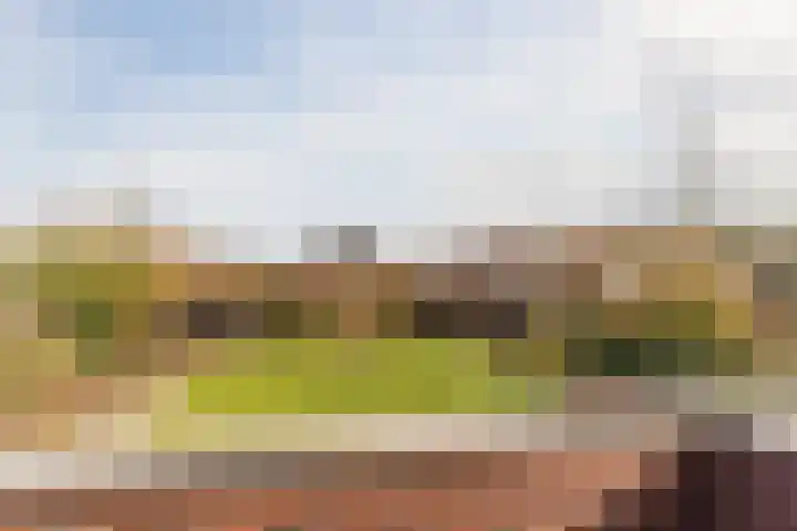 Bijenveld 14 Asten thumbnail 44