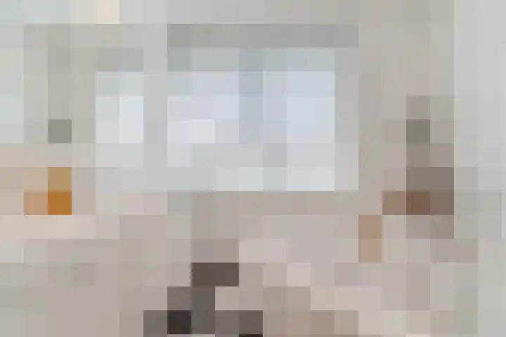 Bijenveld 14 Asten thumbnail 48