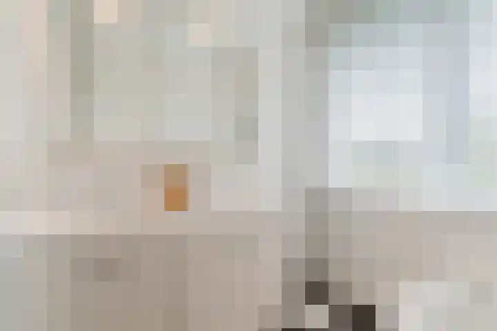 Bijenveld 14 Asten thumbnail 49